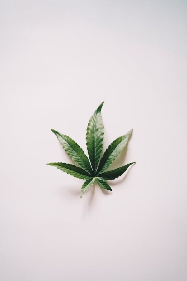 Cannabis et Parentalité : La Nouvelle Normalité